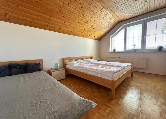 Relax Tatry - Wifi/tv, Bbq, Billiard Prázdninový dům